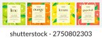 Grapefruit, lime, orange, lemon label design set. Fresh bright templates for labels, packaging, products, branding, design project. Vector illustration