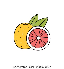 Grapefruit сolor line icon. Essential oils fruit seeds. Pictogram for web page, mobile app, promo. UI UX GUI design element. Editable stroke.