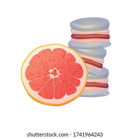 Grapefruit macaroons. Vector traditional french cookies in cartoon style. Composition of grapefruit and macaroon isolated on colorful background. Banner with almond cookies.
