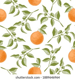 mandarina de pomelo naranja con hojas sobre un patrón de fondo claro