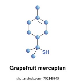 Grapefruit mercaptan is the common name for a natural organic compound found in grapefruit. It is a monoterpenoid that contains a thiol functional group