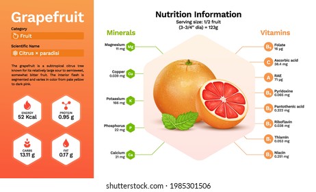 Grapefruit and its nutritional properties -Vector illustration