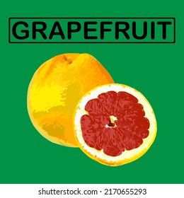 Grapefruit on a green background. Vector