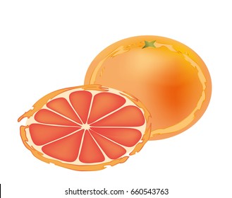 Grapefruit on white background