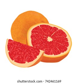 grapefruit on white background, vector illustration