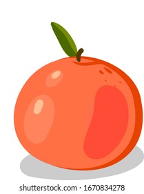 Grapefruit orange, illustration, vector on white background.