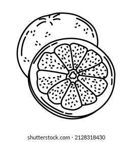 Grapefruit Part of Chinese New Year Traditional Foods, Fruits and Drinks Hand Drawn Icon Set Vector.