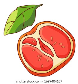 Grapefruit piece and leaf on white isolated backdrop. Citrus fruit for gift card, healthy food shop logo, bath tile, juice pack. Phone case or cloth print art. Drawn style stock vector illustration