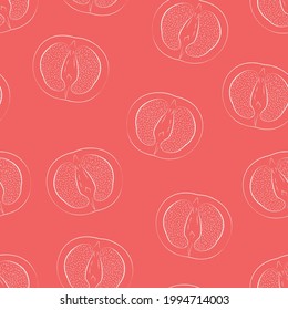Grapefruit seamless pattern Vector illustration in outline Halved citrus fruit in white thin line on bright pink backdrop