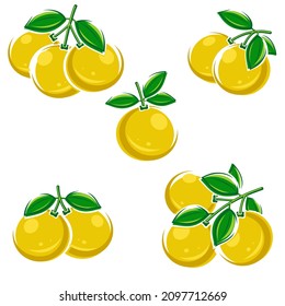 Grapefruit set. Collection grapefruit icons. Vector