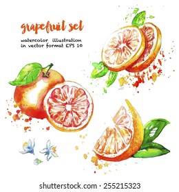 grapefruit set,each item on a separate layer