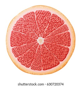 Grapefruit slice close up. Section of grapefruit isolated on white background. Vector illustration