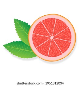 Grapefruit slice illustration for web isolated on white background