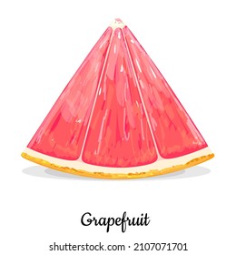 Grapefruit slice isolated on white background. Vegetarian, organic food. Vector Illustration. 