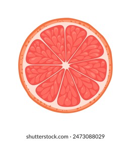Grapefruit slice isolated on white background. Vector cartoon flat illustration. Citrus icon