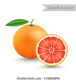 Grapefruit and slice vector isolated