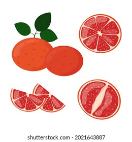 Grapefruit slices in cut isolated. Citrus grape fruit whole and sliced. Vector illustration.