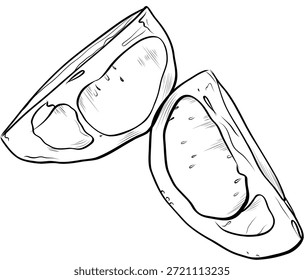 Rebanadas de pomelo dibujado a mano ilustración de fruta