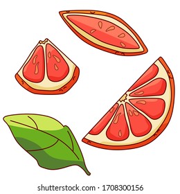 Grapefruit slices and leaf on white isolated backdrop. Citric pieces for gift card, healthy food shop logo, bath tile, juice pack. Phone case or cloth print art. Drawn style stock vector illustration