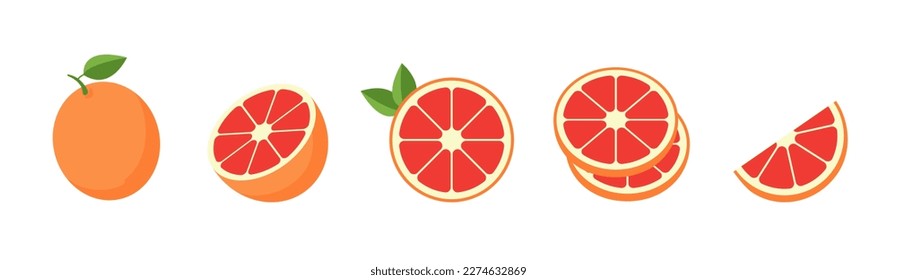 Grapefruit slices set. Whole, half and slice chopped grapefruit fruit collection. Citrus elements group. Vector illustration.