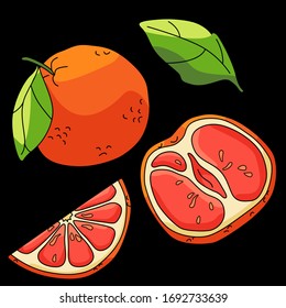Grapefruit sticker set on black backdrop. Tropical fruit pieces for gift card, healthy food shop logo, bath tile, juice pack. Phone case or cloth print art. Hand drawn style stock vector illustration