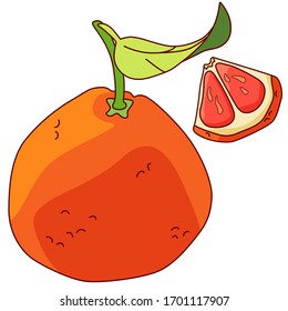 Grapefruit sticker set on white isolated backdrop. Citrus fruit for gift card, healthy food shop logo, bath tile, juice pack. Phone case or cloth print art. Drawn style stock vector illustration