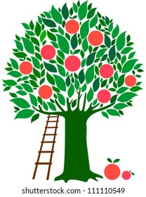 Grapefruit tree isolated on White background. Vector illustration