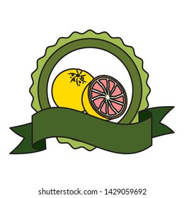 grapefruit tropical fruits badge ribbon vector illustration