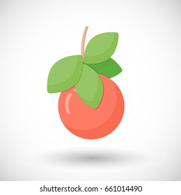 Grapefruit vector flat icon, Flat design of food or tropical harvest objects with round shadows, cute vector illustration