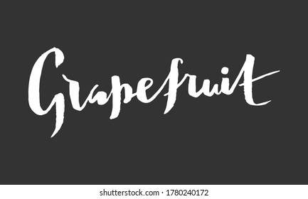 Grabado con mano del vector de pomelo
