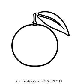Grapefruit vector icon outline style