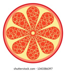 grapefruit vector illustration