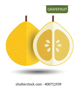 Grapefruit. vector illustration.