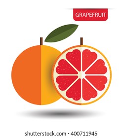 Grapefruit. vector illustration.