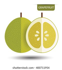 Grapefruit. vector illustration.
