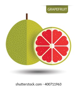 Grapefruit. vector illustration.