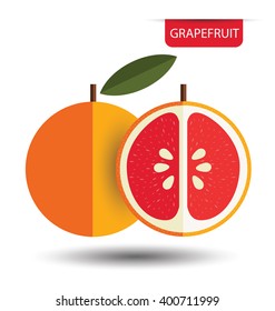 Grapefruit. vector illustration.