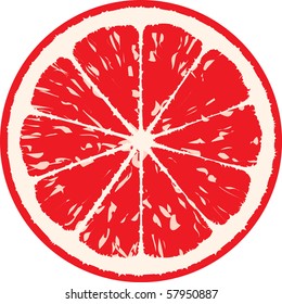 grapefruit vector illustration