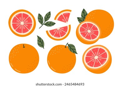 Ilustración vectorial de pomelo aislado sobre fondo blanco. Juego de Naranjas Rojas. Fruta de verano entera con mitades, rebanadas y hojas.