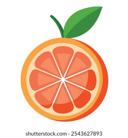 grapefruit Vector Illustration isolated on white background