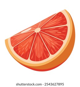 grapefruit Vector Illustration isolated on white background