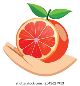 grapefruit Vector Illustration isolated on white background