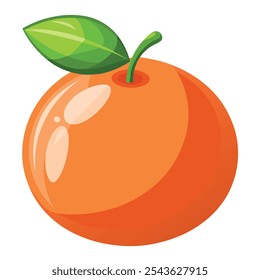 grapefruit Vector Illustration isolated on white background