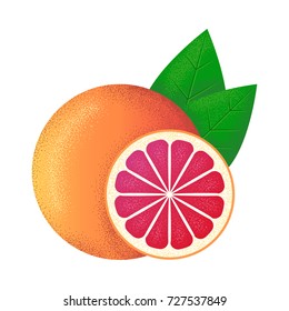 Grapefruit vector illustration. Isolated on white background. Retro grain style. Grapefruit in simple shapes and colorful colors.