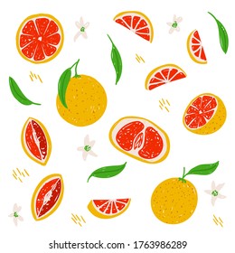 Grapefruit vector illustration set. Whole grapefruit, half, section, cut, sliced, flower, leaf isolated on white background. Grapefruit collection template 