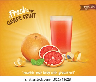 grapefruit vector illustration with  slices of grapefruit 