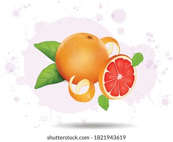grapefruit vector illustration with slices of grapefruit with green leaves