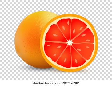Grapefruit vector illustration of transparent background. Ripe tasty sweet realistic fruit.