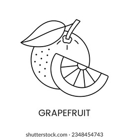 Grapefruit vector line icon, a representation of a citrus fruit, designed for food allergen alerts on packaging.