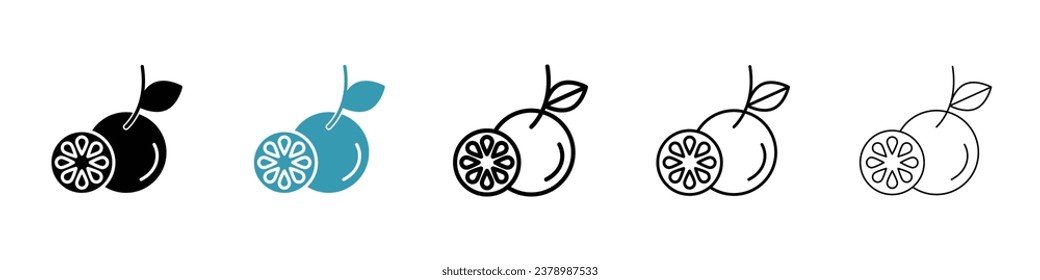 Grapefruit vector thin line icon set. orange or lemon vector symbol. citrus slice sign for web ui designs